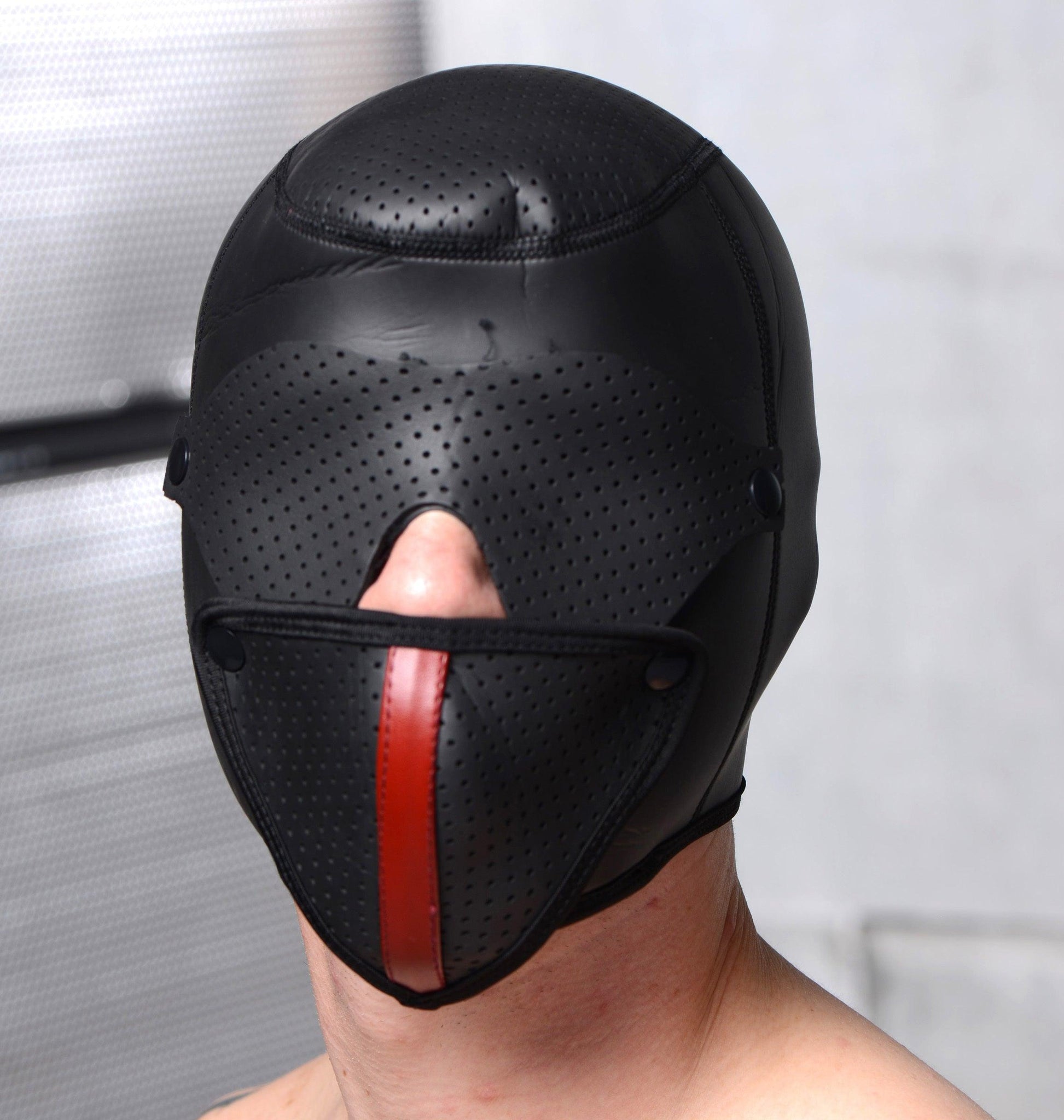 Scorpion Hood With Removable Blindfold and Face Mask -