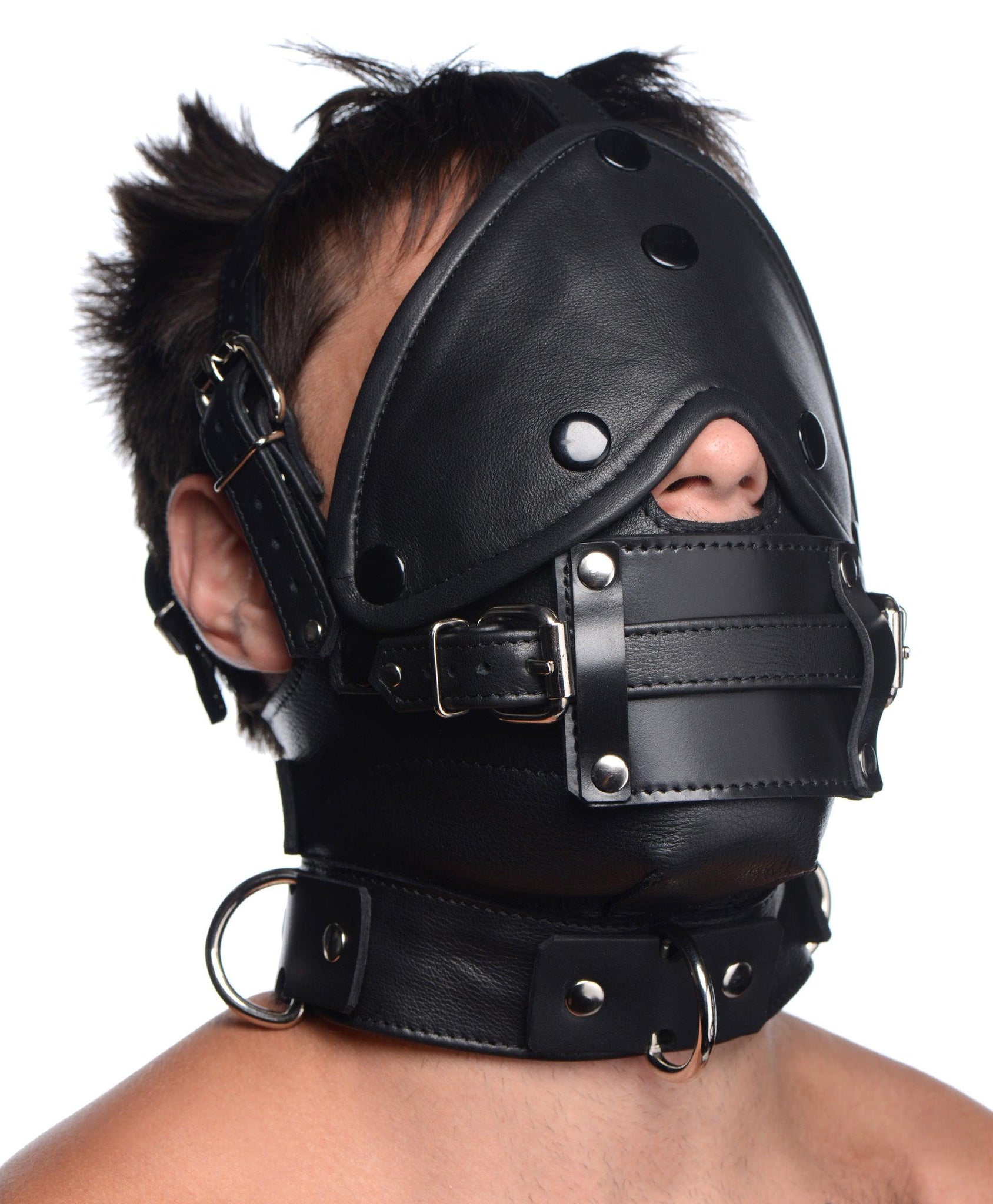 Leather Head Harness with Removeable Gag -