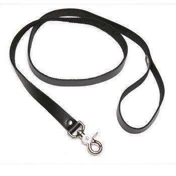 Strict Leather 4 Foot Leash -